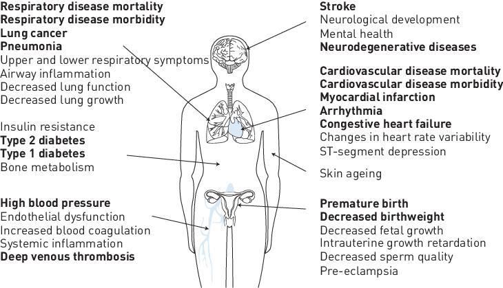 Overzicht van gezondheidsproblemen en biomarkers door blootstelling aan luchtvervuiling