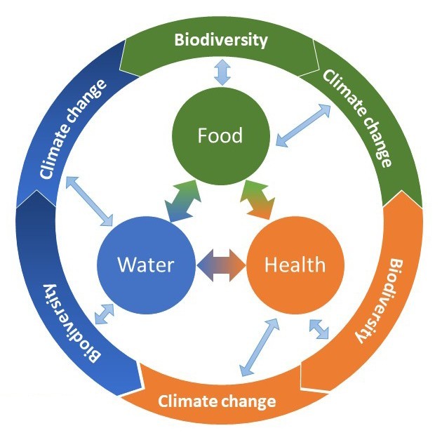 Schema: Biodiversiteit en klimaatverandering