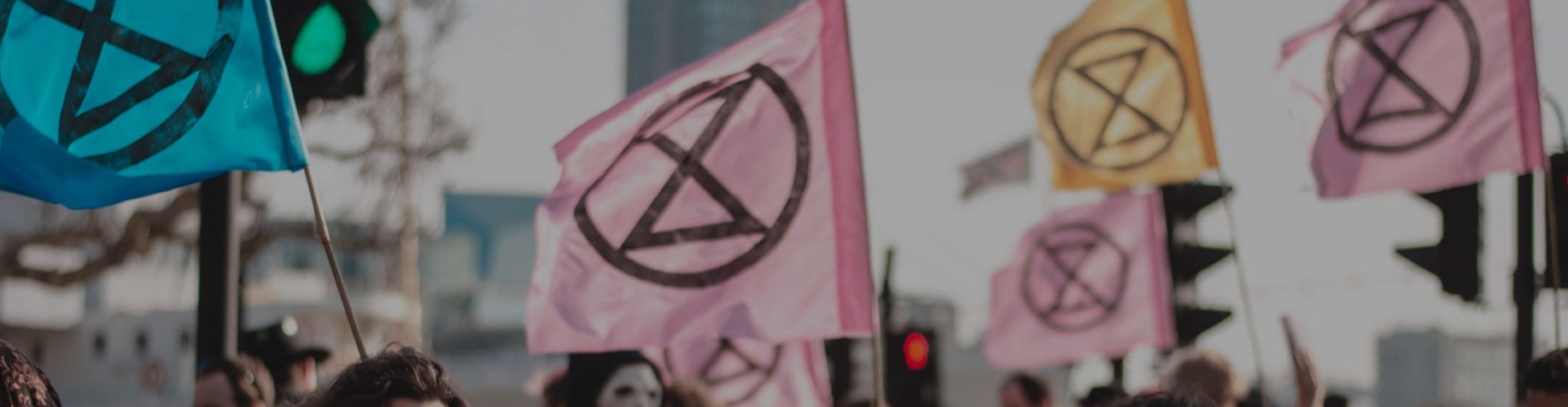 Extinction Rebellion Zwolle